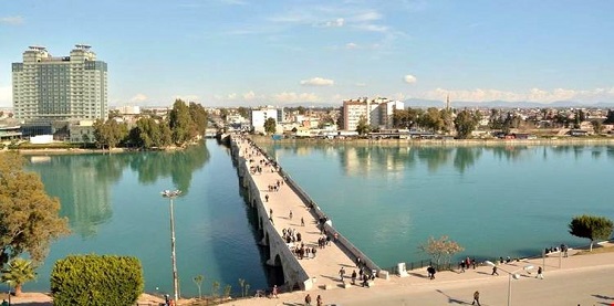 Adana Soğuk Sebze Meyve Nakliyee